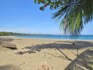 Manzanillo Beach Costa Rica in Cahuita, Talamanca, Limon.