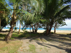 Manzanillo Beach Costa Rica in Cahuita, Talamanca, Limon.