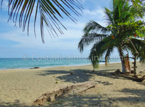 Manzanillo Beach Costa Rica in Cahuita, Talamanca, Limon.