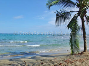 Manzanillo Beach Costa Rica in Cahuita, Talamanca, Limon.