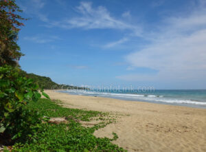 Manzanillo Beach Costa Rica in Cahuita, Talamanca, Limon.