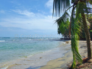 Manzanillo Beach Costa Rica in Cahuita, Talamanca, Limon.