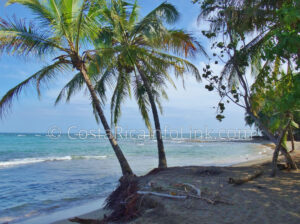 Manzanillo Beach Costa Rica in Cahuita, Talamanca, Limon.