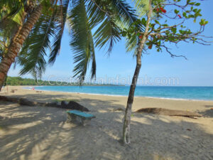 Manzanillo Beach Costa Rica in Cahuita, Talamanca, Limon.