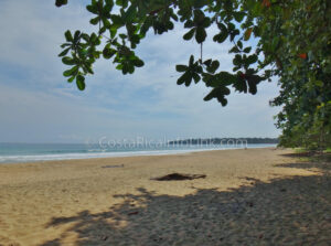 Manzanillo Beach Costa Rica in Cahuita, Talamanca, Limon.