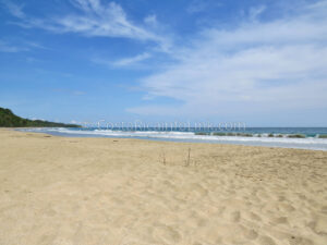 Manzanillo Beach Costa Rica in Cahuita, Talamanca, Limon.