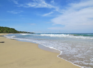 Manzanillo Beach Costa Rica in Cahuita, Talamanca, Limon.