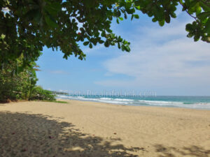 Manzanillo Beach Costa Rica in Cahuita, Talamanca, Limon.