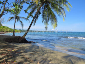 Manzanillo Beach Costa Rica in Cahuita, Talamanca, Limon.