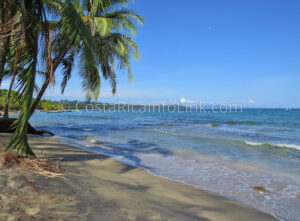 Manzanillo Beach Costa Rica in Cahuita, Talamanca, Limon.