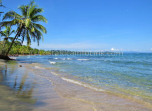 Manzanillo Beach Costa Rica in Cahuita, Talamanca, Limon.